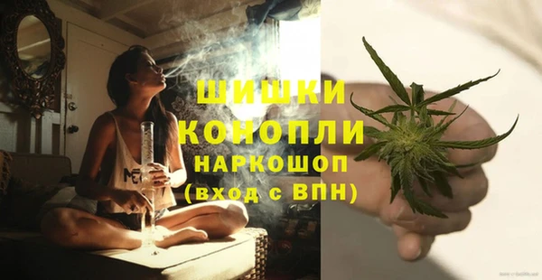 MESCALINE Гусь-Хрустальный