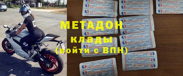прущие грибы Дмитровск