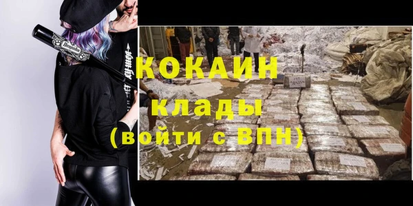 ПСИЛОЦИБИНОВЫЕ ГРИБЫ Дмитриев