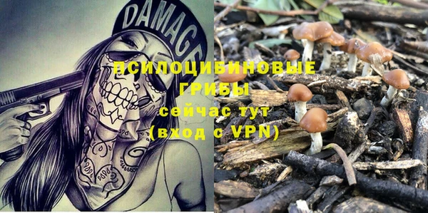 гидропоника Ельня