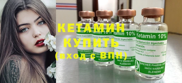 ПСИЛОЦИБИНОВЫЕ ГРИБЫ Дмитриев
