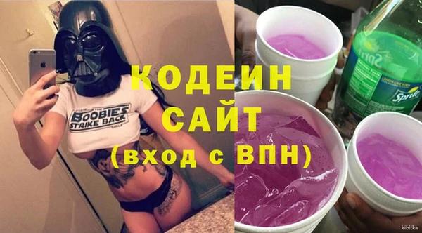 не бодяженный Гусев